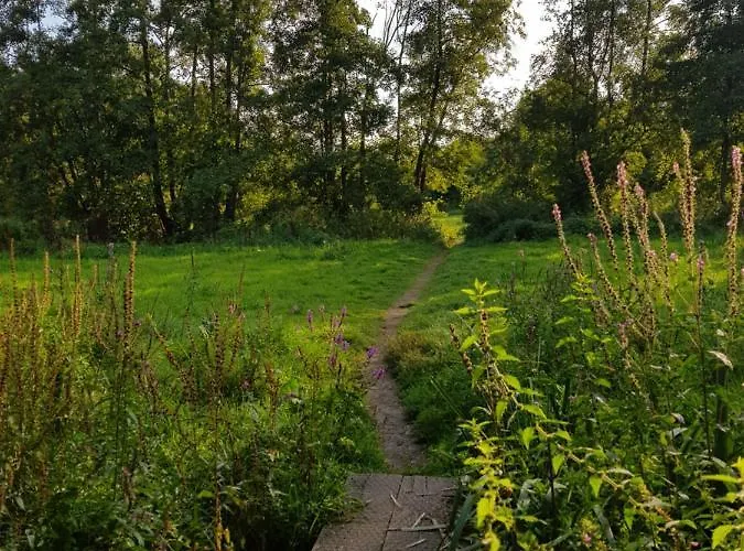 Eindhoven Inn Nocleg ze śniadaniem