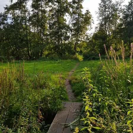 Eindhoven Inn فندق مبيت وإفطار